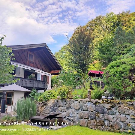 Ferienapartment Opitz - Zugspitzregion Ольштадт Экстерьер фото